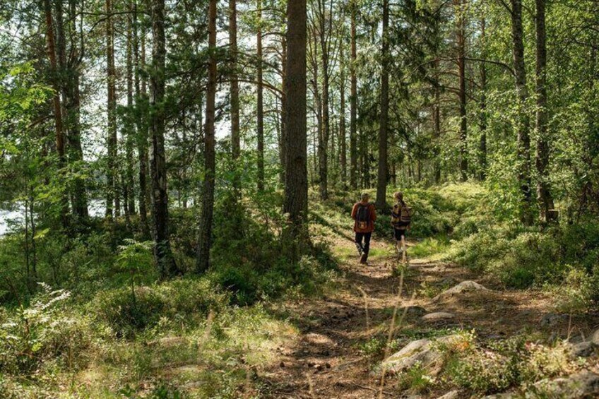 A forest trail with hikers. 3