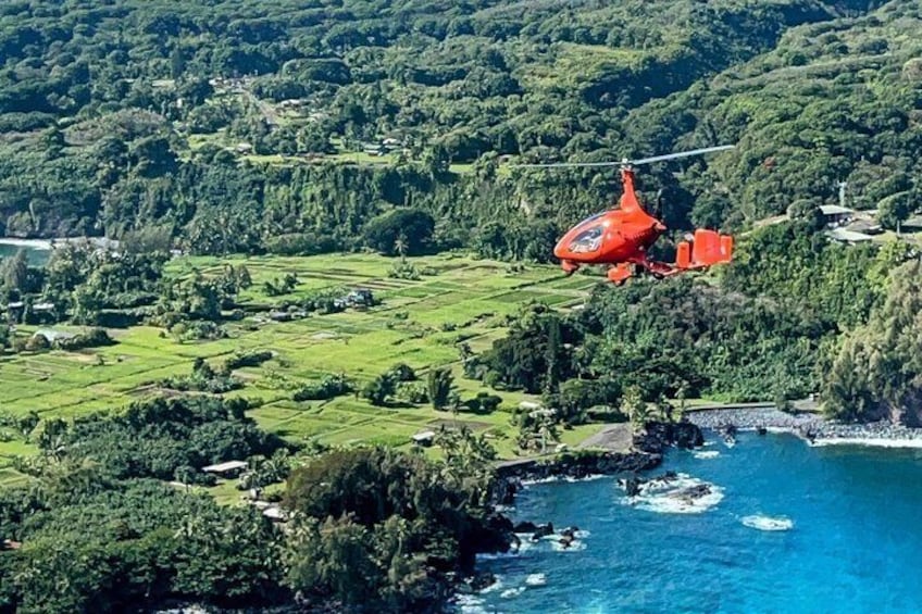 A red helicopter flying over a coastal area with lush greenery and a clear blue sea. 5