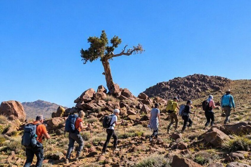 Saghro Mountains Trekking & Berber Experience 1
