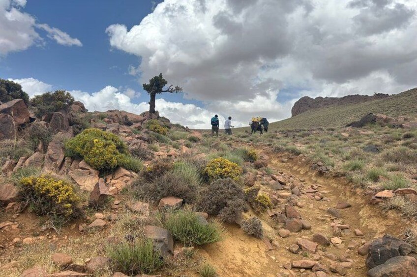 A rocky trail with hikers, sparse vegetation, and a clear sky. 5
