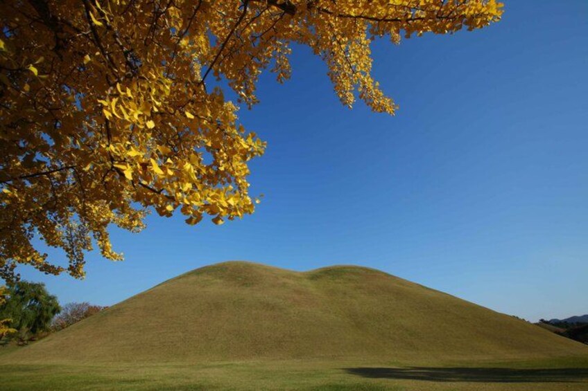 A grassy hill with autumn leaves. 4