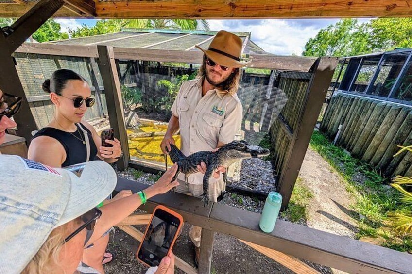 A person feeding a crocodile at a zoo enclosure. 2