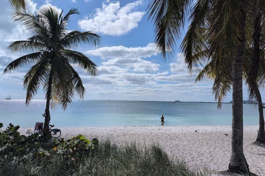 Miami City Tour with Little Havana and Wynwood Stops 2