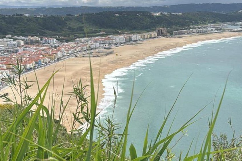 A coastal city with a beach, buildings, and vegetation. 4