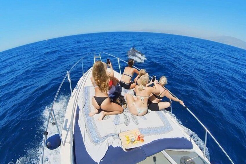 A group of people on a boat with a dolphin swimming nearby. 4