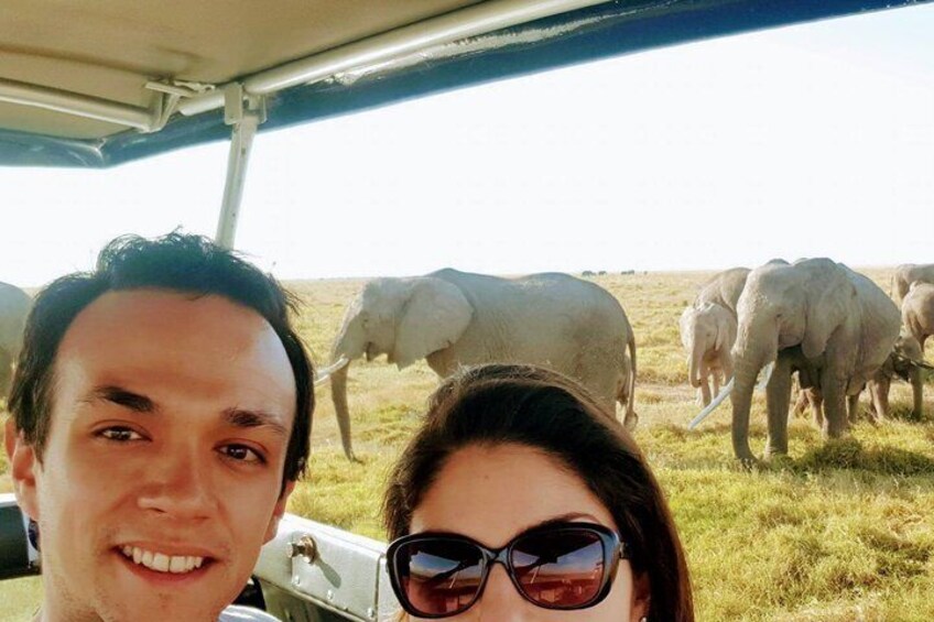 A safari vehicle with a group of elephants in a grassy field. 3