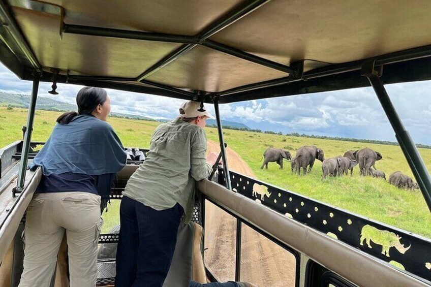 A safari vehicle with two people observing elephants grazing in a field. 2