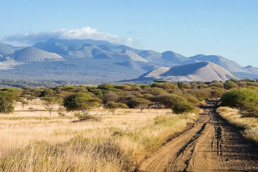 A dirt road leading through a savanna landscape with scattered trees and distant mountains. 3