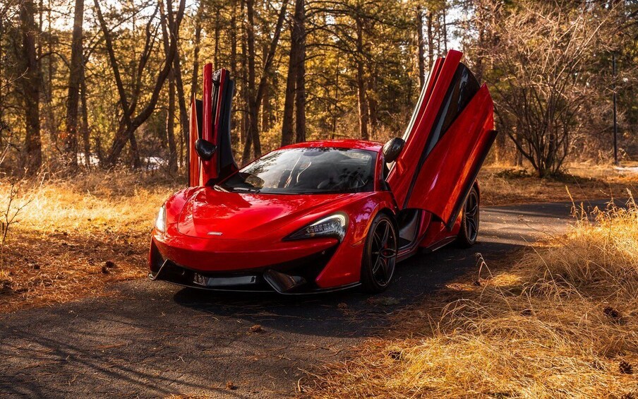 A red sports car parked on a forest path. 3