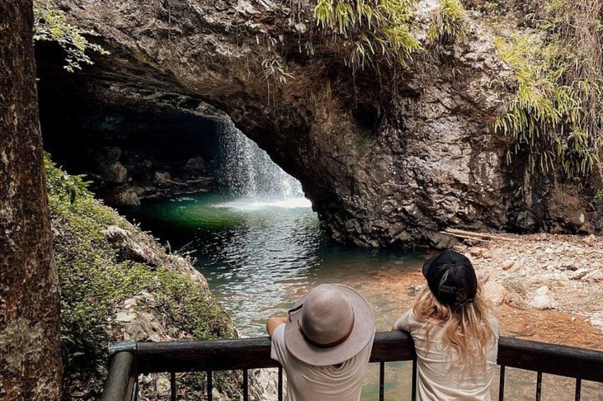 Private Gold Coast Wildlife Waterfalls and Rainforest Tour 5