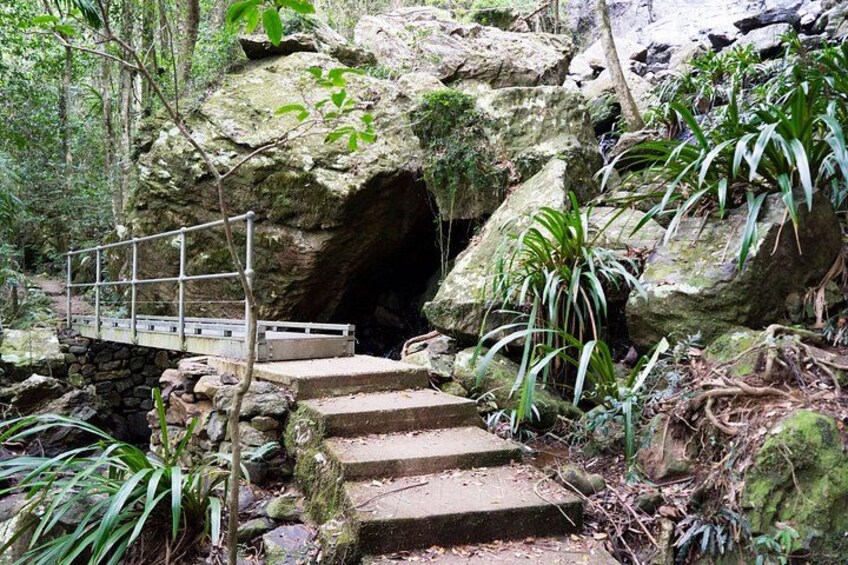 Private Gold Coast Wildlife Waterfalls and Rainforest Tour 4