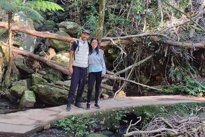 Private Gold Coast Wildlife Waterfalls and Rainforest Tour 5