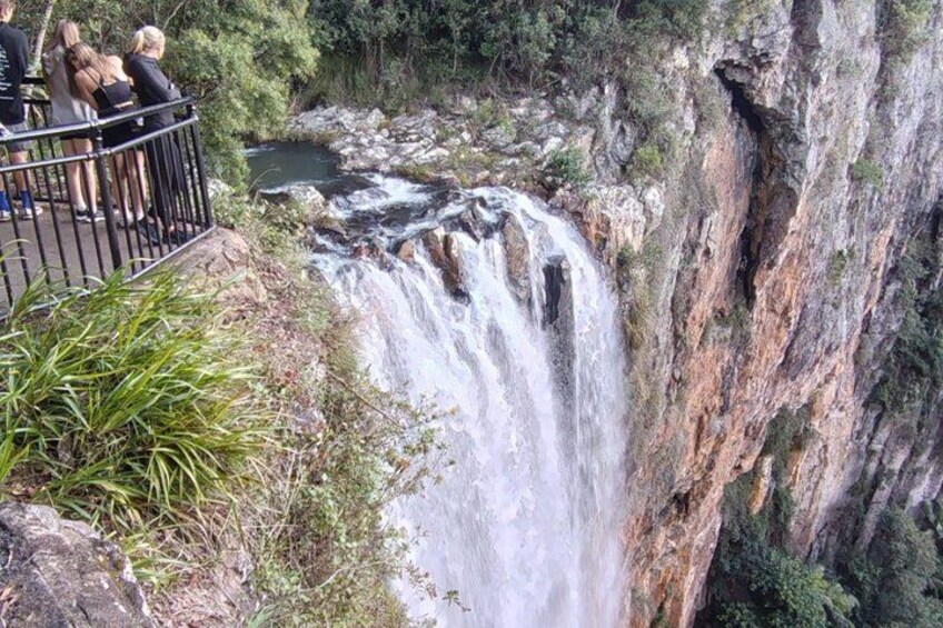 Private Gold Coast Wildlife Waterfalls and Rainforest Tour 3