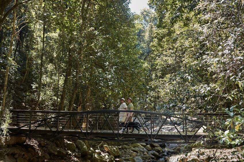 Private Gold Coast Wildlife Waterfalls and Rainforest Tour 3