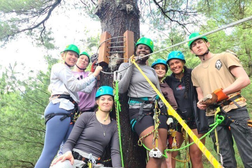 A group of people engaged in a tree climbing activity with safety harnesses and ropes. 4