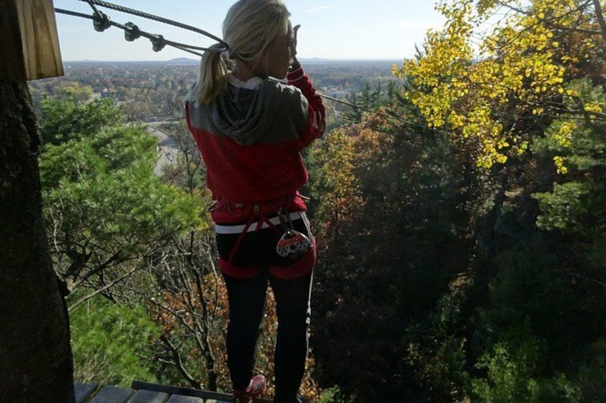 A person standing on a platform, overlooking a forested landscape with a clear view of the valley below. 5