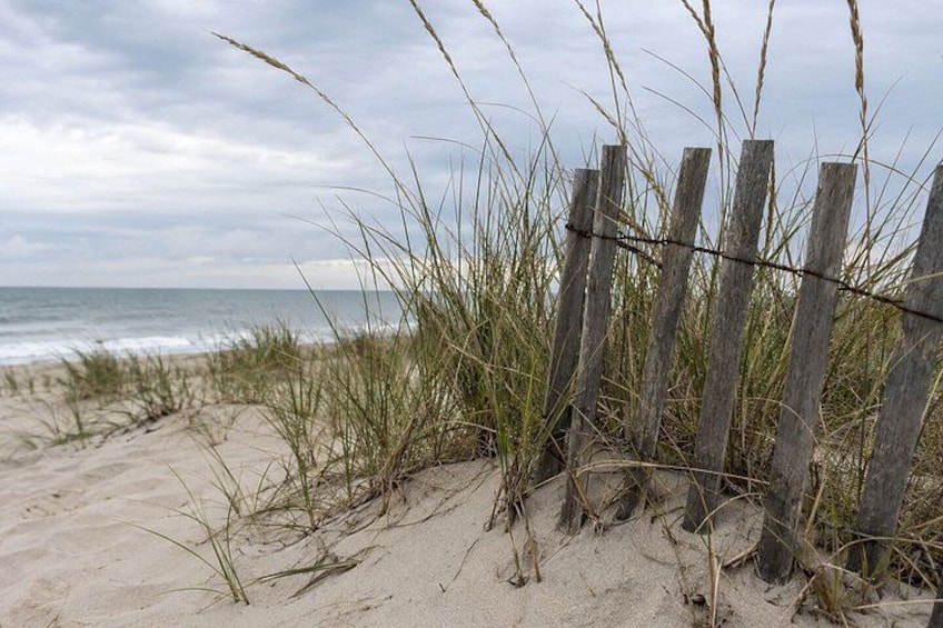 A sandy beach with a wooden fence and tall grasses. 4