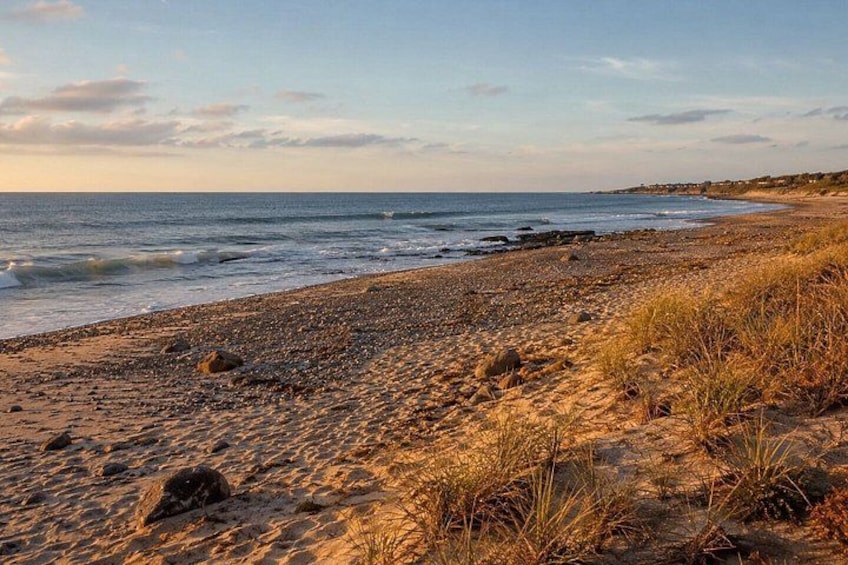 A beach with pebbles, sand, and grass. 2