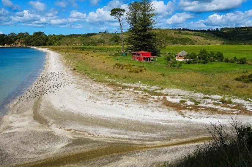 A beach with a red building, a clear sky, and green fields in the background. 2