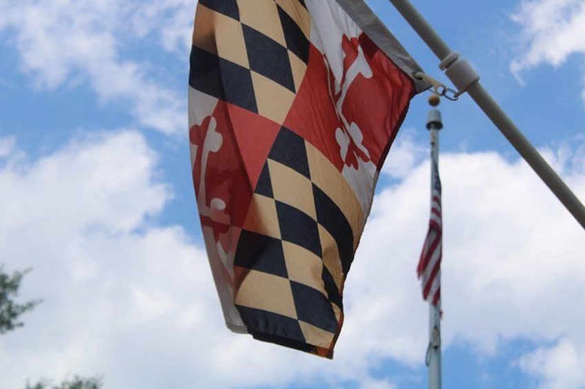 A flag with a checkered pattern and a red and white emblem, mounted on a flagpole against a sky with clouds. 4