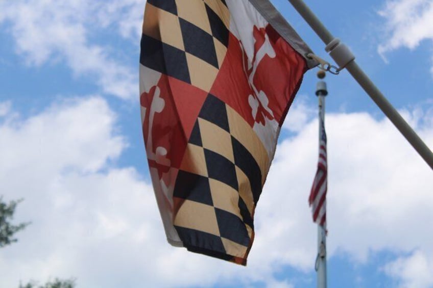 A flag with a checkered pattern and a red emblem, fluttering against a blue sky with clouds. 4