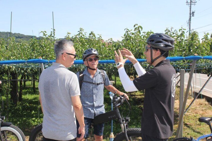 A hidden local trip around Toyama with views of Tateyama Mountain Range 4
