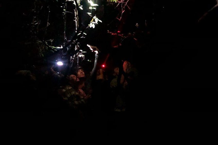 A dimly lit indoor setting with people gathered around a central point, possibly a performance or event. 5