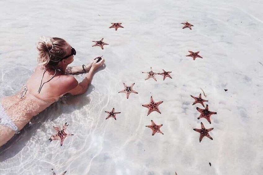 A person in a bikini lying on a sandy beach with starfish scattered around. 3