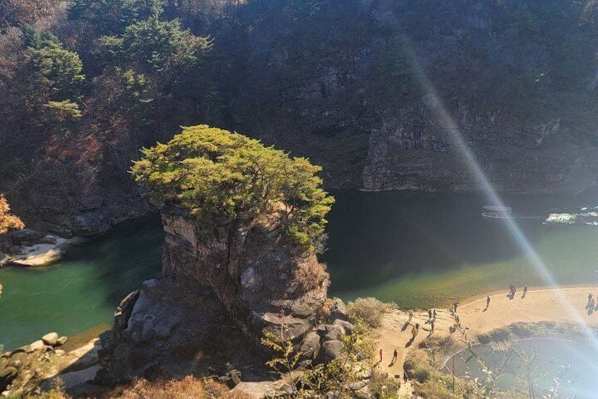A rocky cliff with a tree, a river, and a beach with people. 4