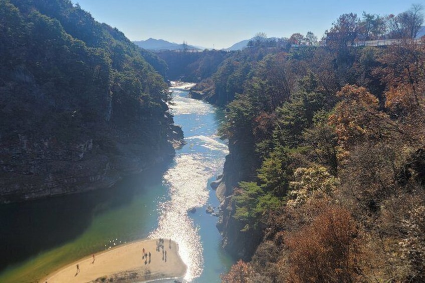 A river canyon with a beach and dense forest. 5