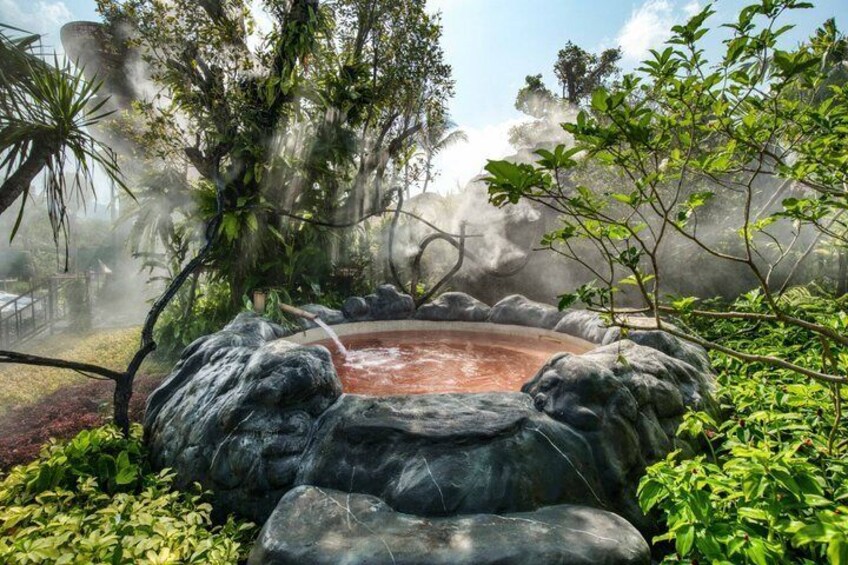 A hot spring surrounded by rocks and lush greenery. 3