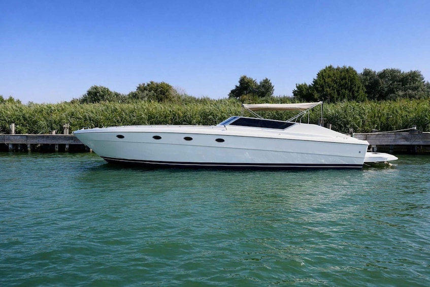 A white motorboat docked at a pier with a clear sky and greenery in the background. 3