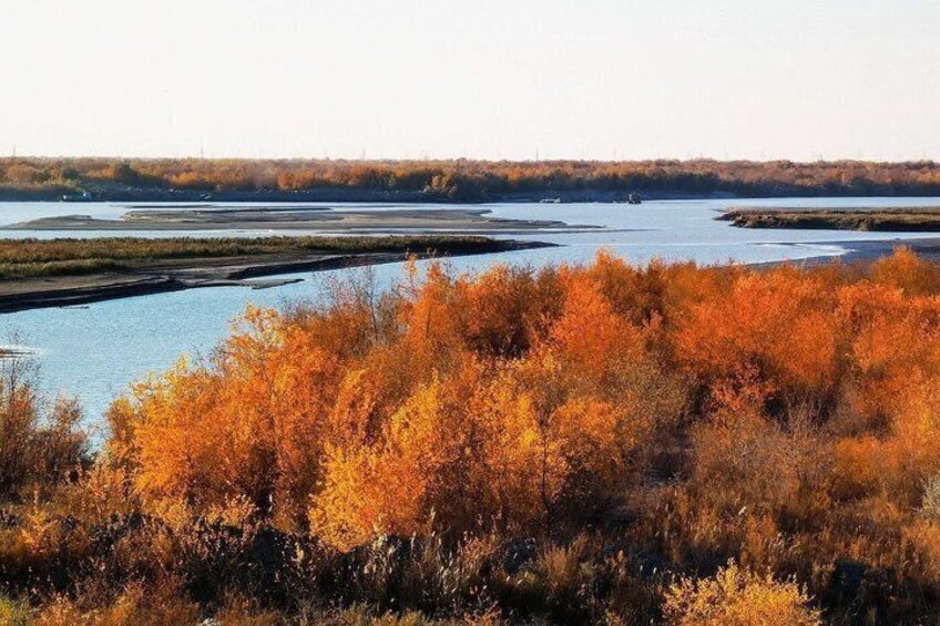 A river with autumn foliage, a distant shoreline, and a clear sky. 3
