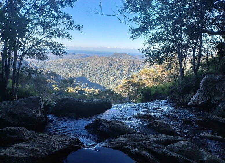 A river flowing through a forested valley with mountains in the background. 3