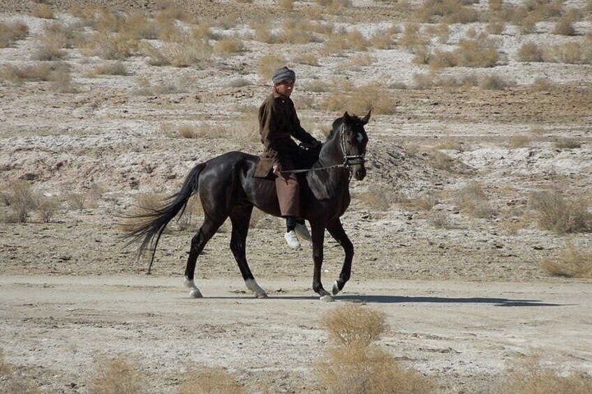 Khiva to Bukhara: Transfer with Top 5 Fortresses & Akchakul Lake 4