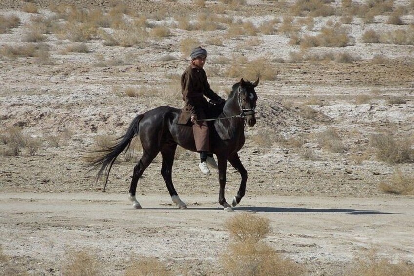 Khiva to Bukhara: Transfer with Top 5 Fortresses & Akchakul Lake 2
