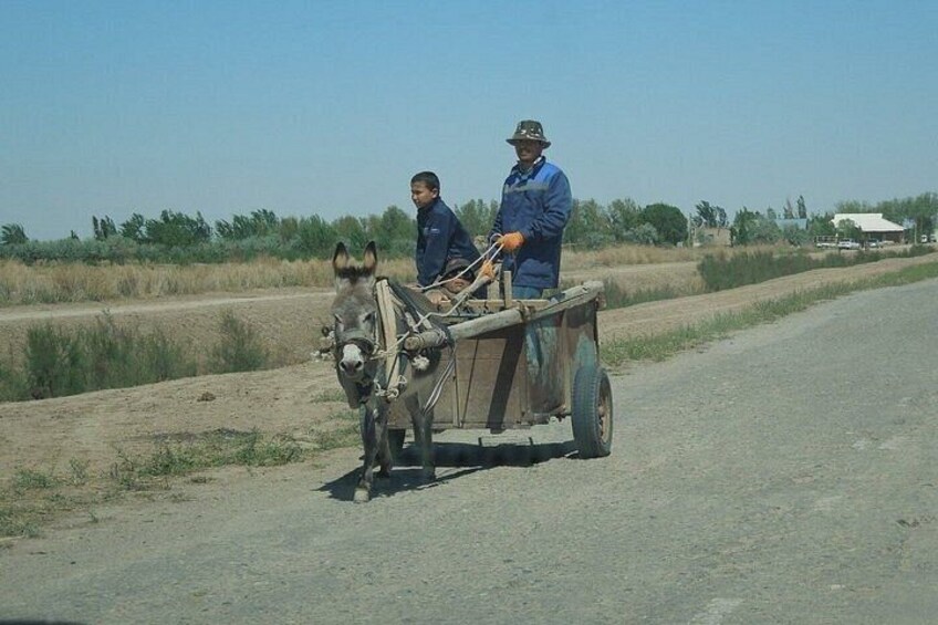 Khiva to Bukhara: Transfer with Top 5 Fortresses & Akchakul Lake 3