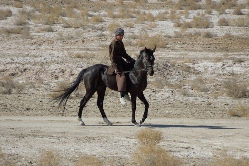 A person riding a horse in a desert landscape. 4