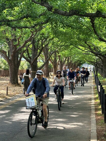 A group of people cycling on a tree-lined path. 1