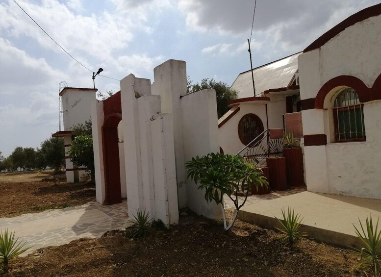 A white building with red accents, a staircase, and a small garden with plants. 2