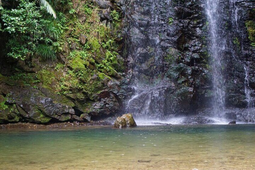 A waterfall cascading over rocks into a clear pool surrounded by lush greenery. 3