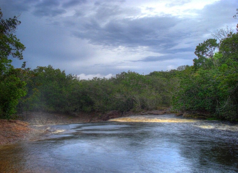 A river flowing through a dense forest with a cloudy sky above. 1