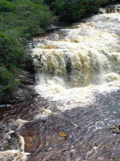 A turbulent waterfall surrounded by dense greenery. 4