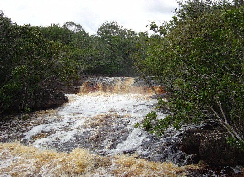A turbulent river with a waterfall surrounded by dense greenery. 5