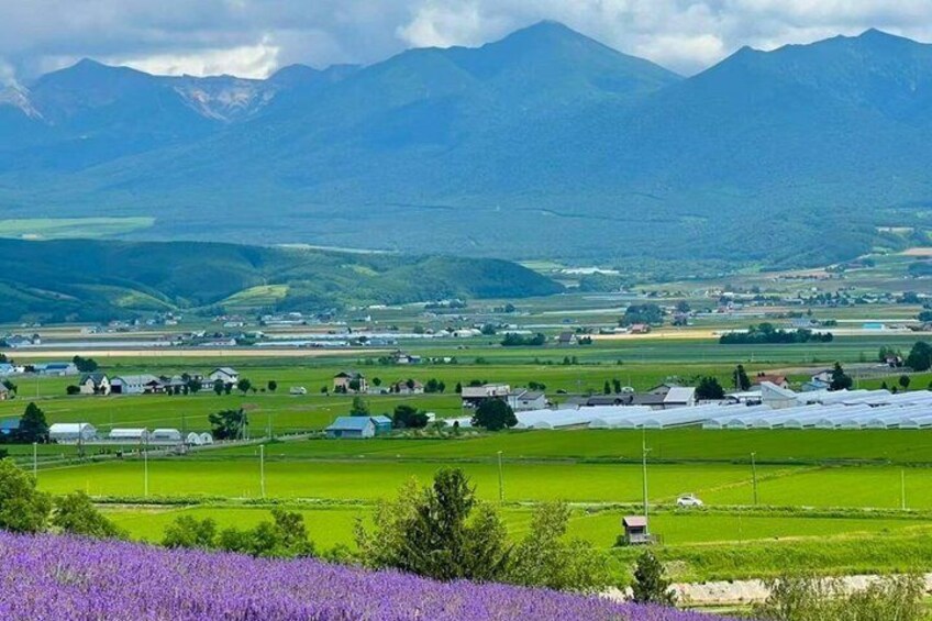 A rural landscape with green fields, a small village, and mountains in the background. 1