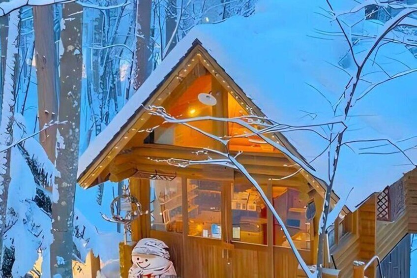A wooden cabin with a snow-covered roof, surrounded by trees in a snowy landscape. 5