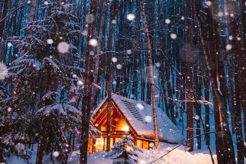 A cabin in a snowy forest at night. 4