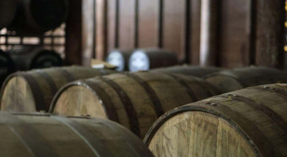 Wooden barrels in a storage area. 3