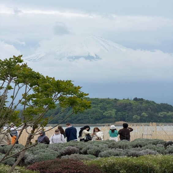 A group of people observing a snow-capped mountain in the distance. 5