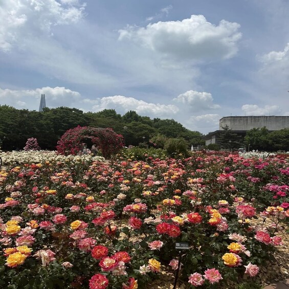 A garden with a variety of colorful flowers, a large building in the background, and a tower-like structure. 3